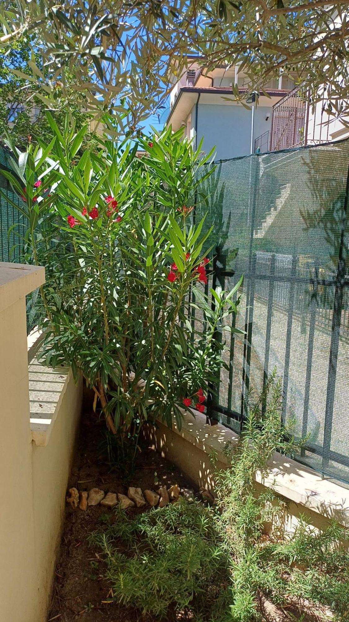 Residence Ducale Rimini Exterior foto